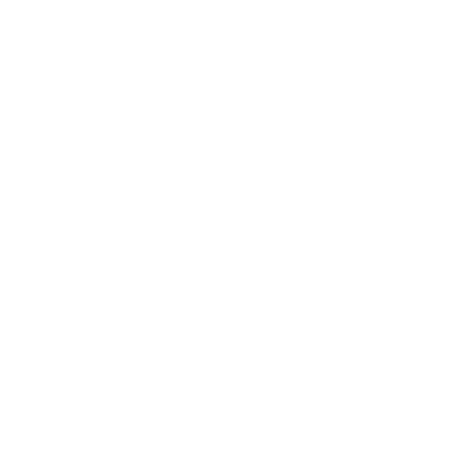 Apostolic International Alliance